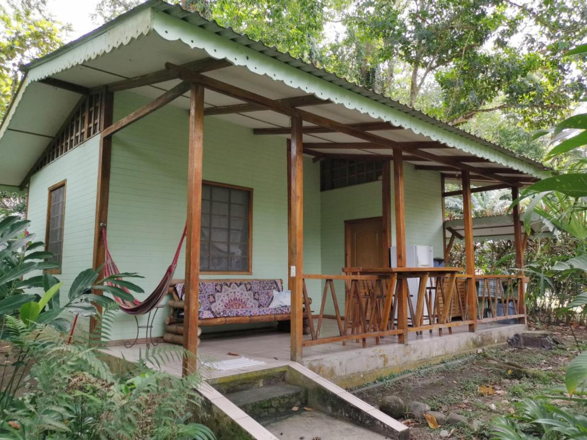 Luna Caribena Village Puerto Viejo de Talamanca المظهر الخارجي الصورة