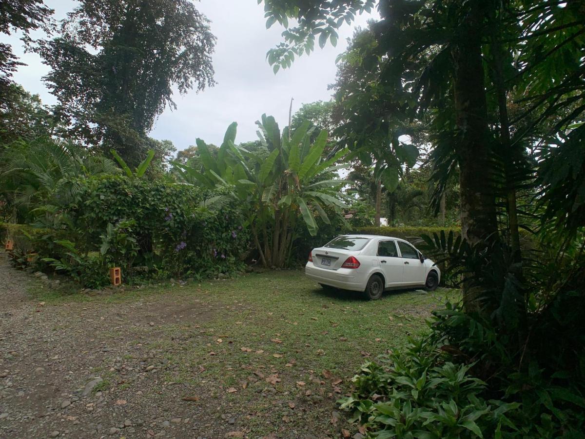 Luna Caribena Village Puerto Viejo de Talamanca المظهر الخارجي الصورة