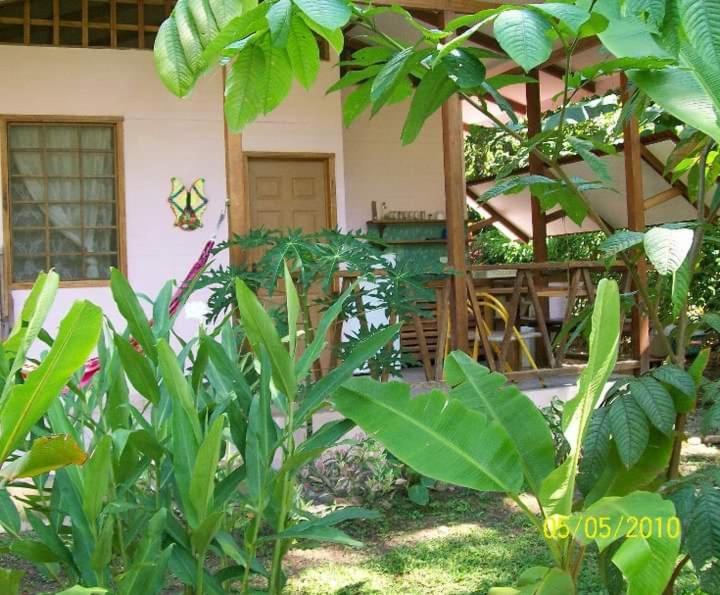 Luna Caribena Village Puerto Viejo de Talamanca المظهر الخارجي الصورة