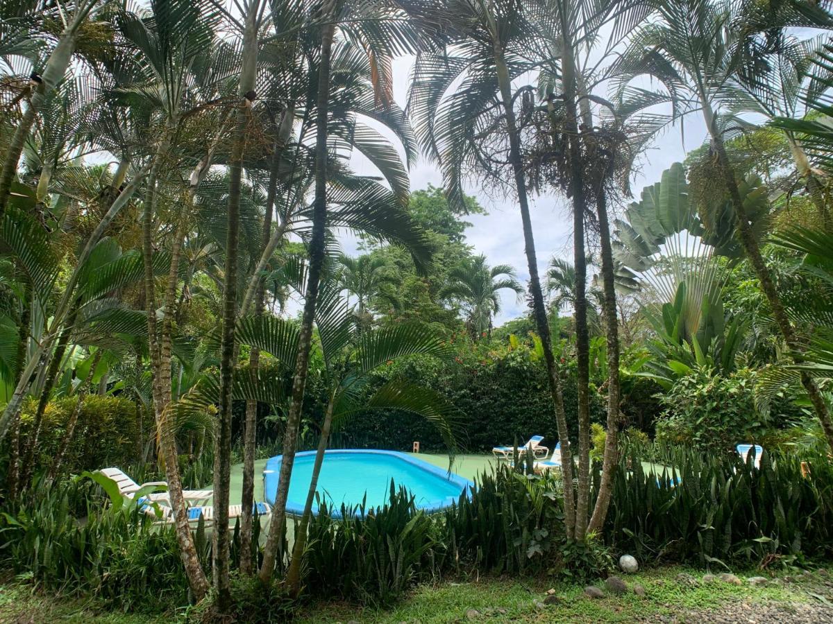 Luna Caribena Village Puerto Viejo de Talamanca المظهر الخارجي الصورة