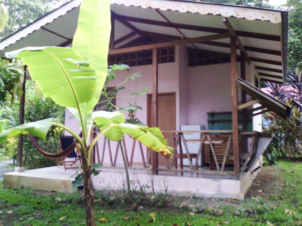 Luna Caribena Village Puerto Viejo de Talamanca المظهر الخارجي الصورة