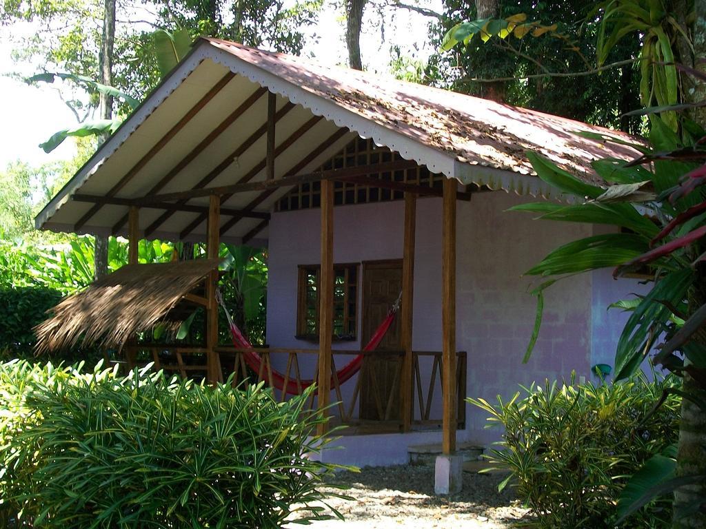 Luna Caribena Village Puerto Viejo de Talamanca المظهر الخارجي الصورة