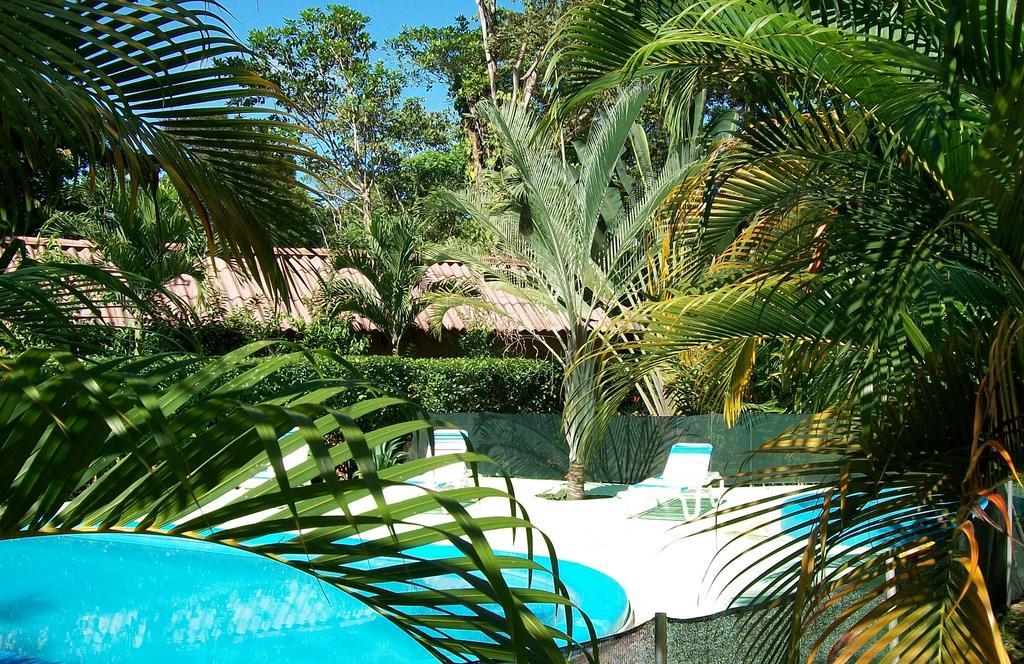 Luna Caribena Village Puerto Viejo de Talamanca المظهر الخارجي الصورة