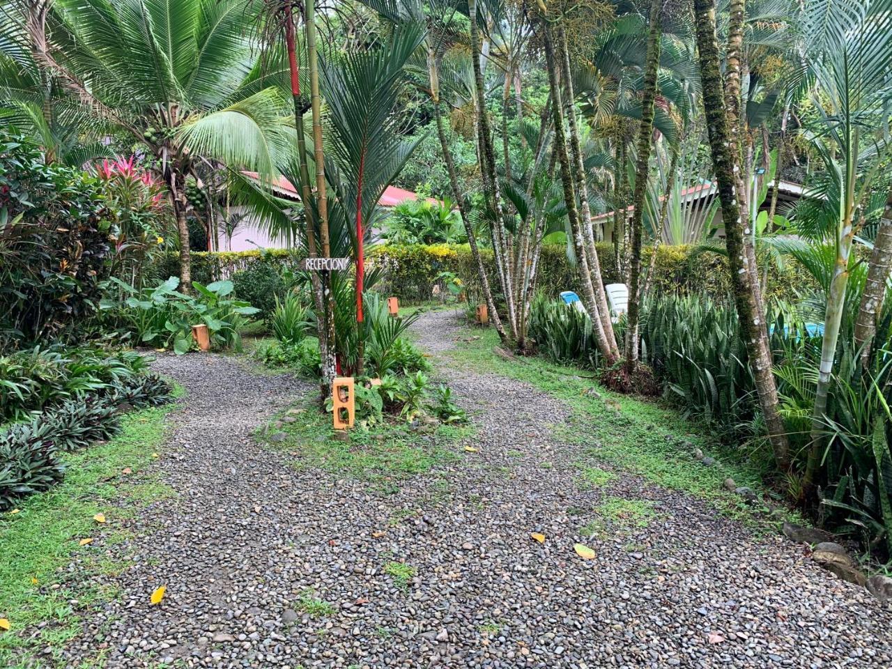 Luna Caribena Village Puerto Viejo de Talamanca المظهر الخارجي الصورة