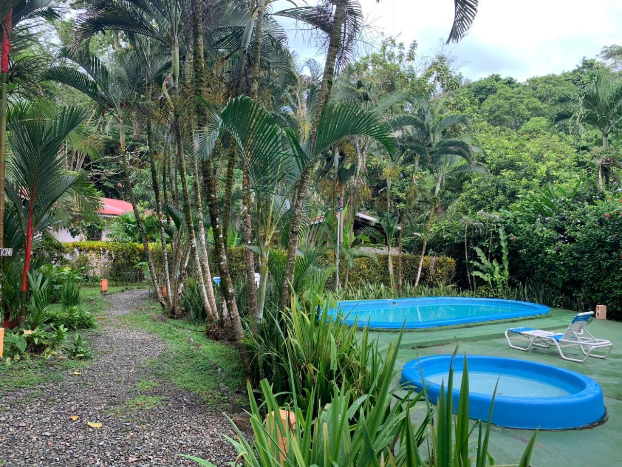 Luna Caribena Village Puerto Viejo de Talamanca المظهر الخارجي الصورة
