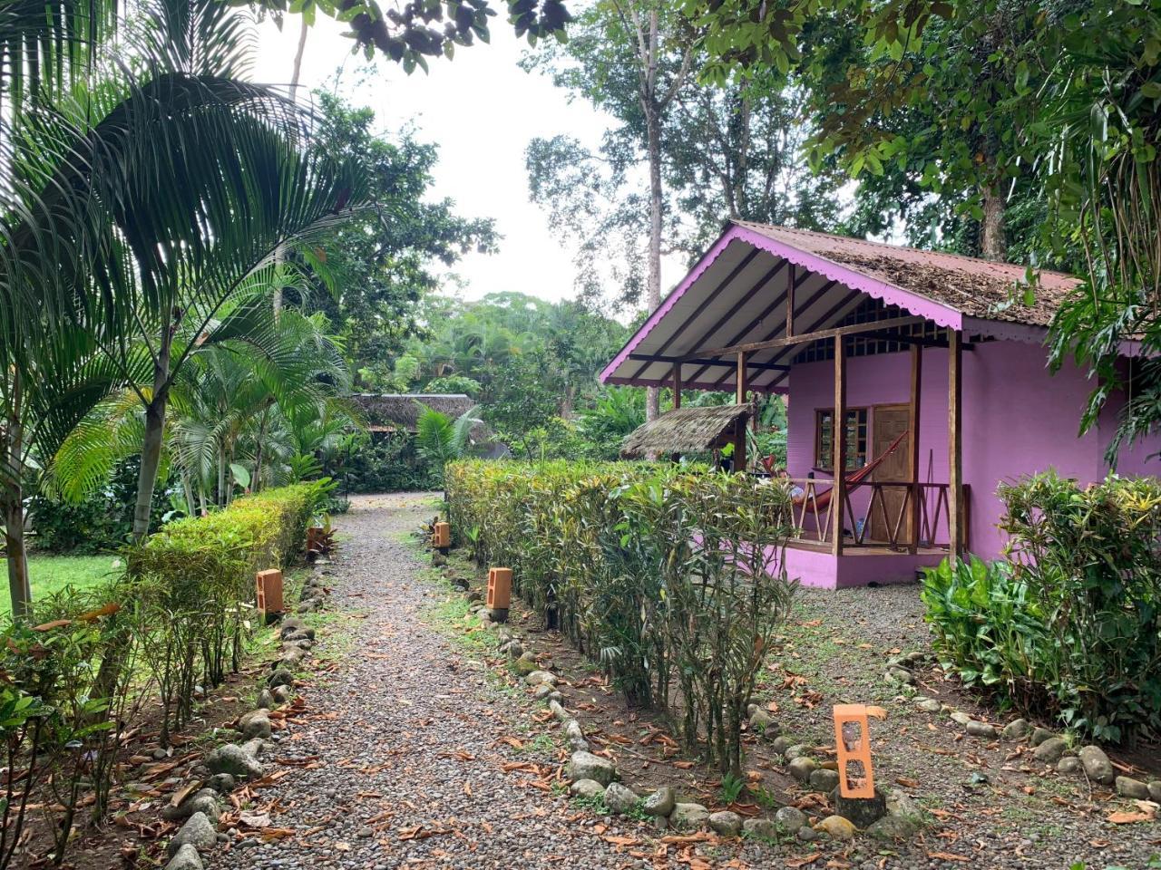 Luna Caribena Village Puerto Viejo de Talamanca المظهر الخارجي الصورة