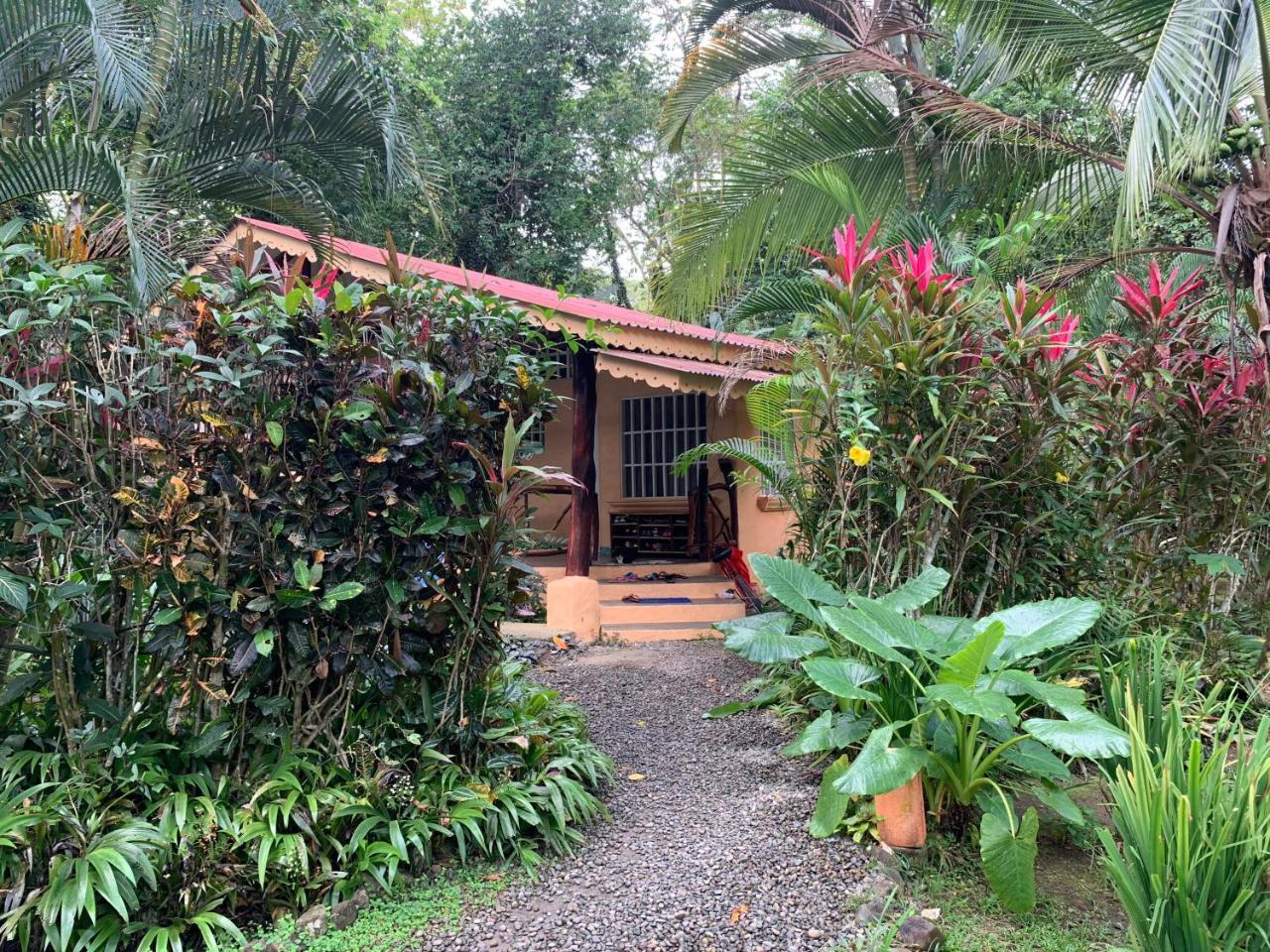 Luna Caribena Village Puerto Viejo de Talamanca المظهر الخارجي الصورة