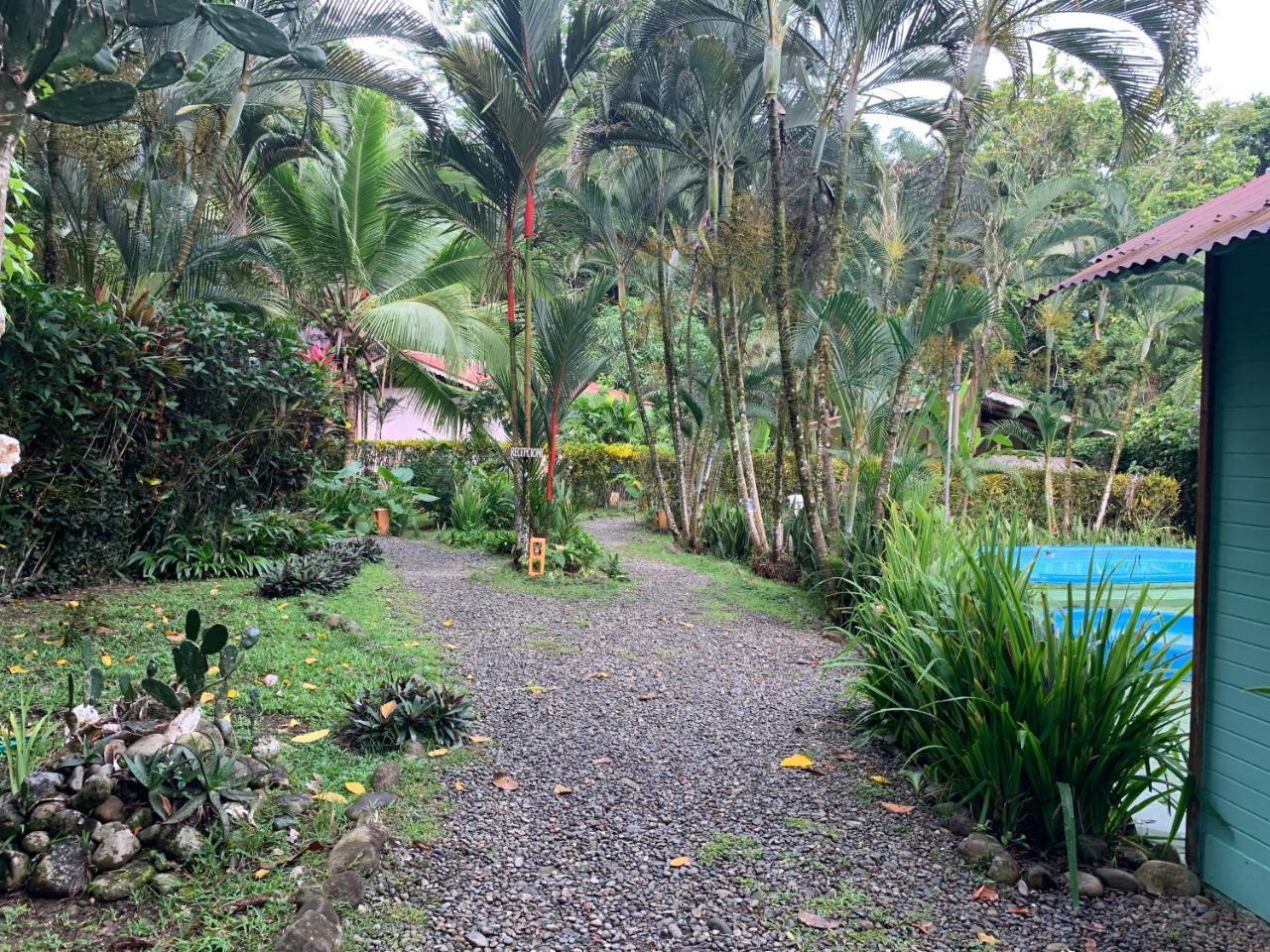 Luna Caribena Village Puerto Viejo de Talamanca المظهر الخارجي الصورة
