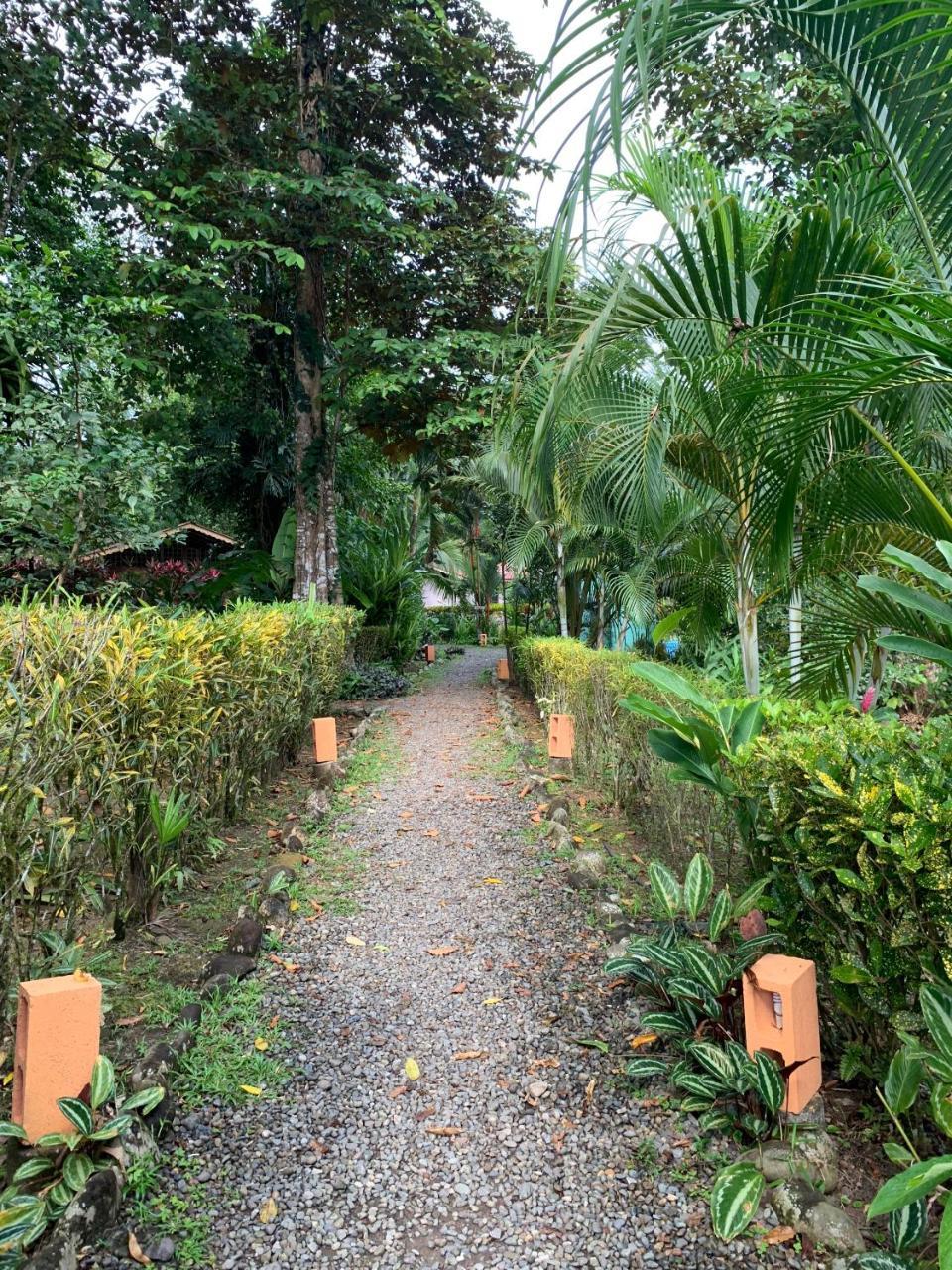 Luna Caribena Village Puerto Viejo de Talamanca المظهر الخارجي الصورة