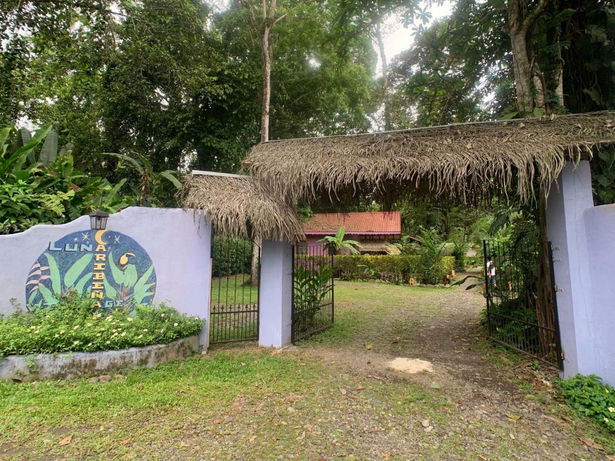 Luna Caribena Village Puerto Viejo de Talamanca المظهر الخارجي الصورة