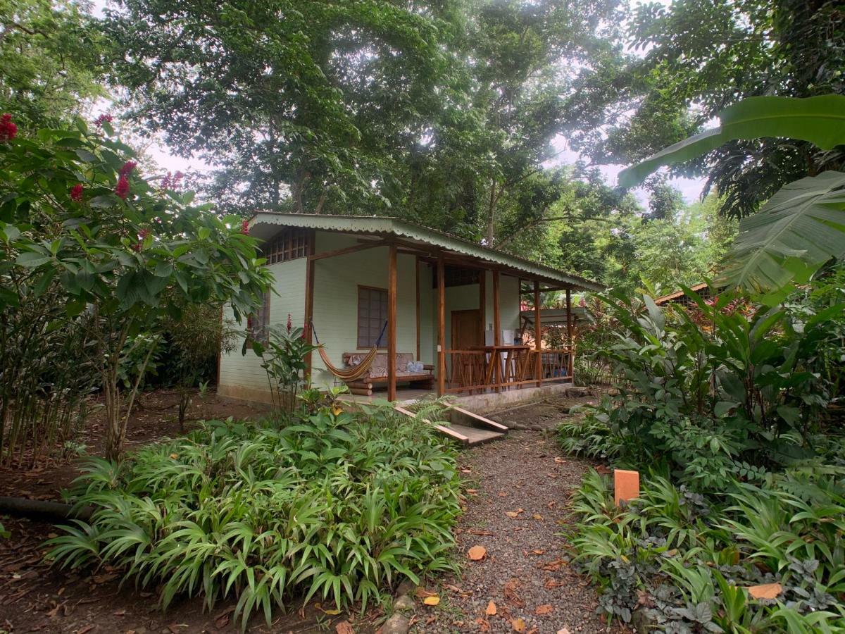 Luna Caribena Village Puerto Viejo de Talamanca المظهر الخارجي الصورة