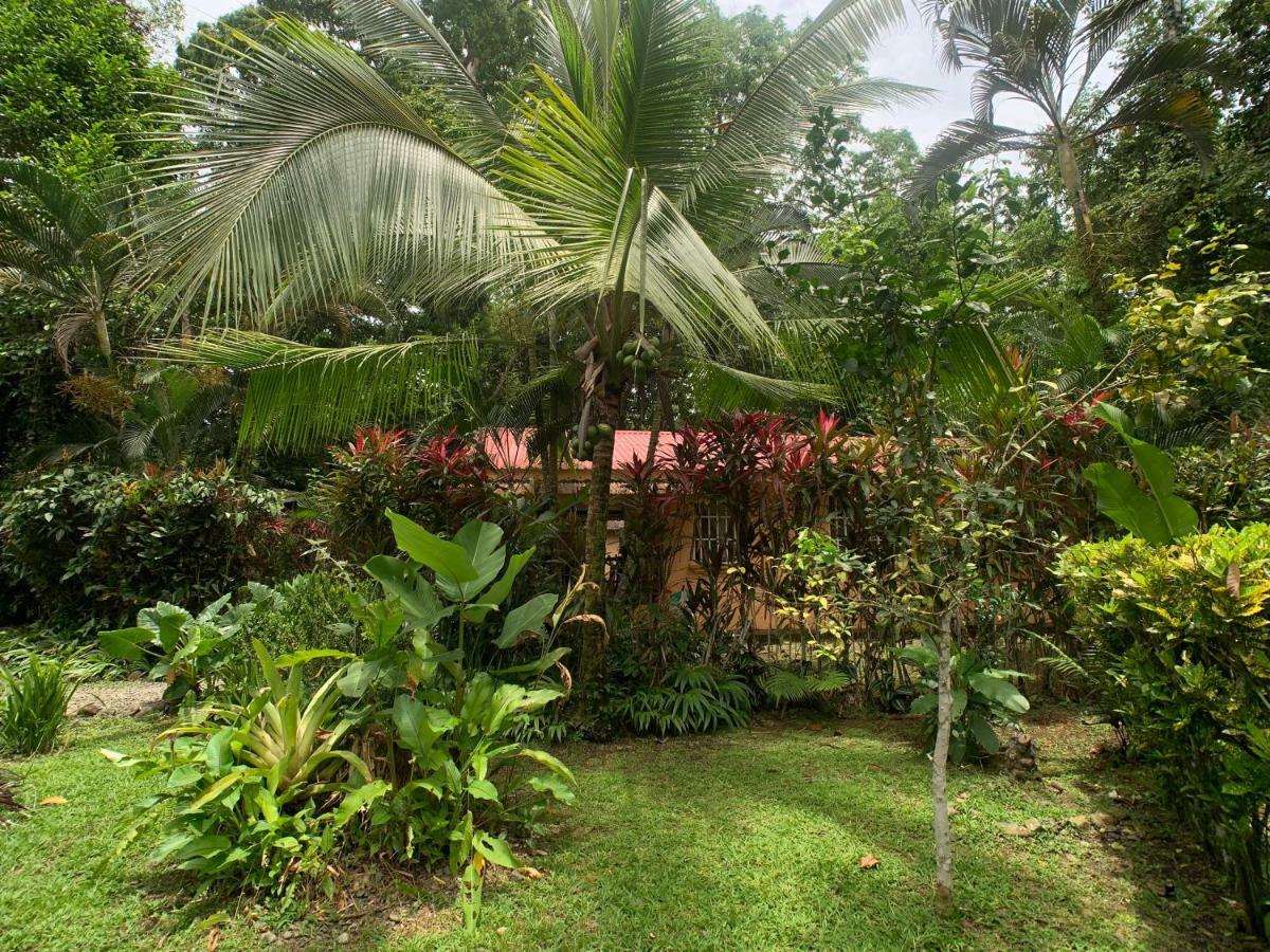 Luna Caribena Village Puerto Viejo de Talamanca المظهر الخارجي الصورة