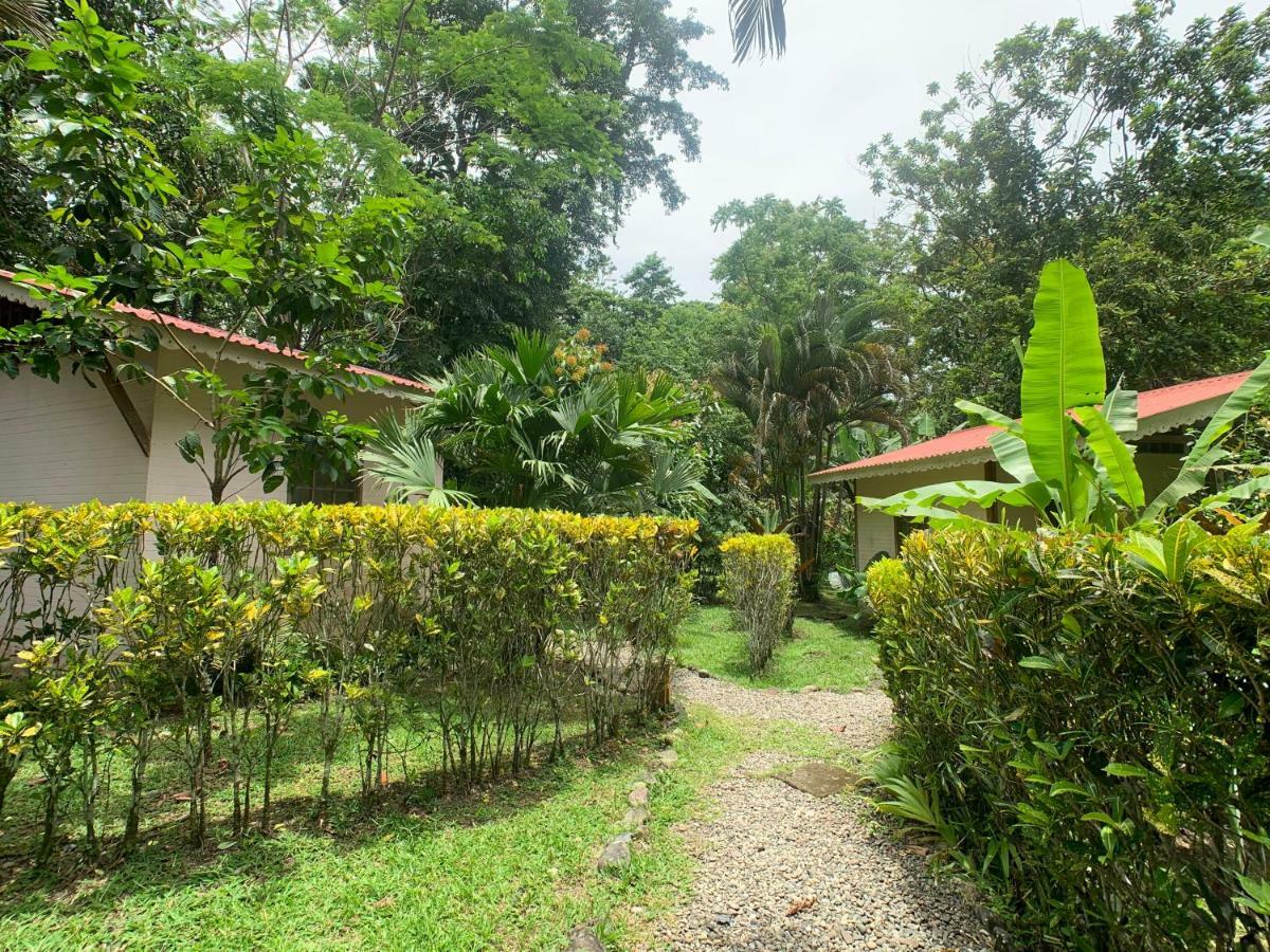 Luna Caribena Village Puerto Viejo de Talamanca المظهر الخارجي الصورة